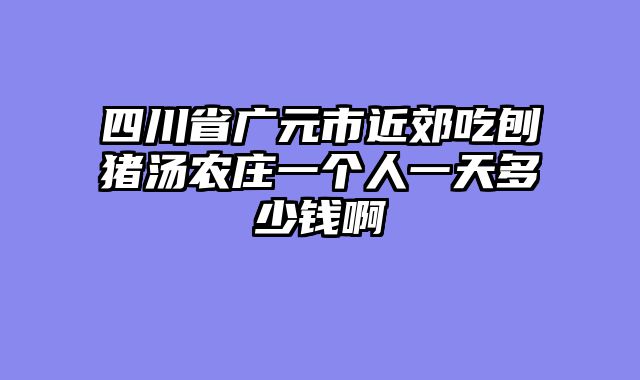 四川省广元市近郊吃刨猪汤农庄一个人一天多少钱啊