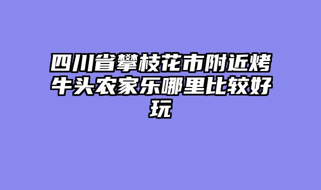 四川省攀枝花市附近烤牛头农家乐哪里比较好玩