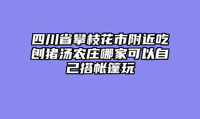 四川省攀枝花市附近吃刨猪汤农庄哪家可以自己搭帐篷玩