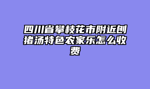四川省攀枝花市附近刨猪汤特色农家乐怎么收费