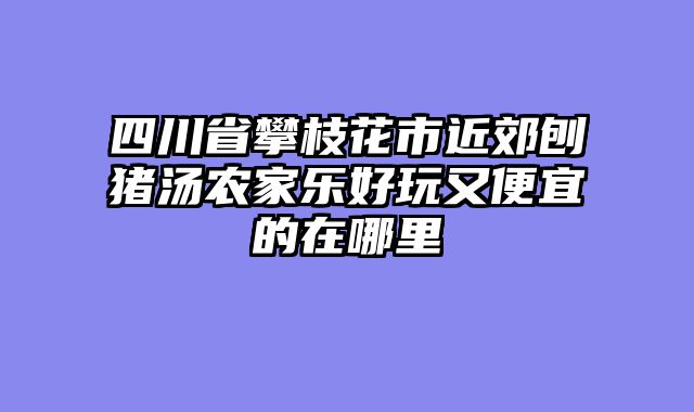 四川省攀枝花市近郊刨猪汤农家乐好玩又便宜的在哪里
