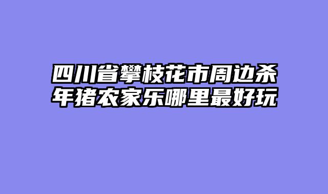 四川省攀枝花市周边杀年猪农家乐哪里最好玩