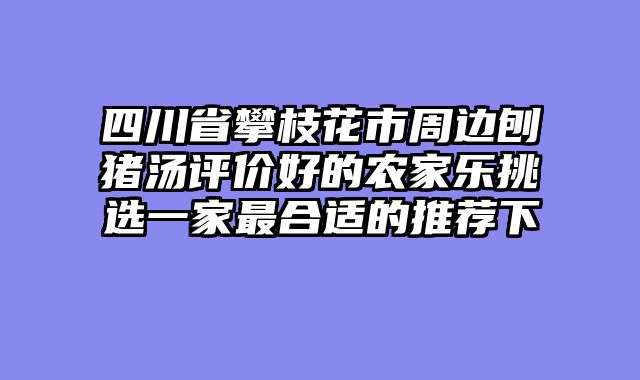四川省攀枝花市周边刨猪汤评价好的农家乐挑选一家最合适的推荐下
