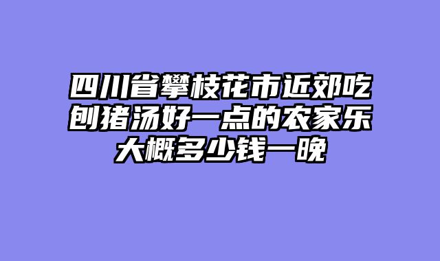 四川省攀枝花市近郊吃刨猪汤好一点的农家乐大概多少钱一晚