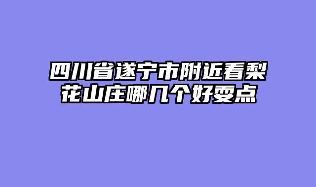 四川省遂宁市附近看梨花山庄哪几个好耍点