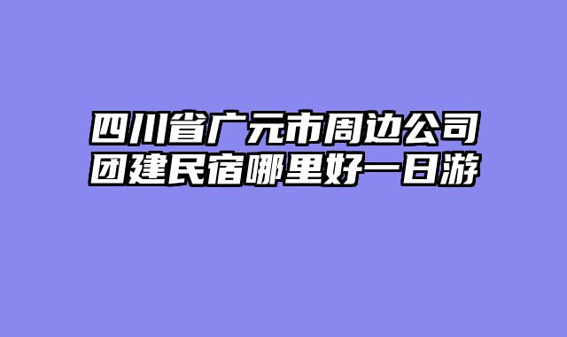 四川省广元市周边公司团建民宿哪里好一日游