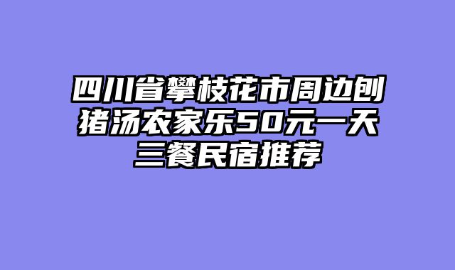 四川省攀枝花市周边刨猪汤农家乐50元一天三餐民宿推荐