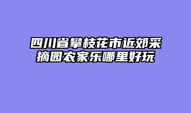 四川省攀枝花市近郊采摘园农家乐哪里好玩