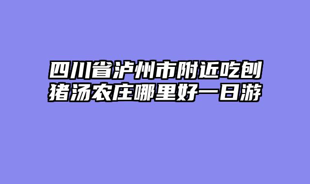 四川省泸州市附近吃刨猪汤农庄哪里好一日游
