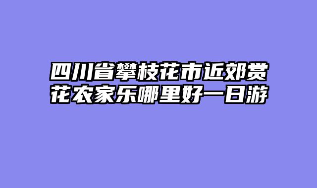 四川省攀枝花市近郊赏花农家乐哪里好一日游