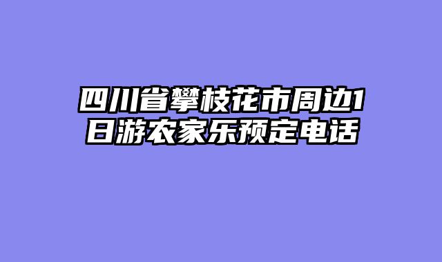 四川省攀枝花市周边1日游农家乐预定电话