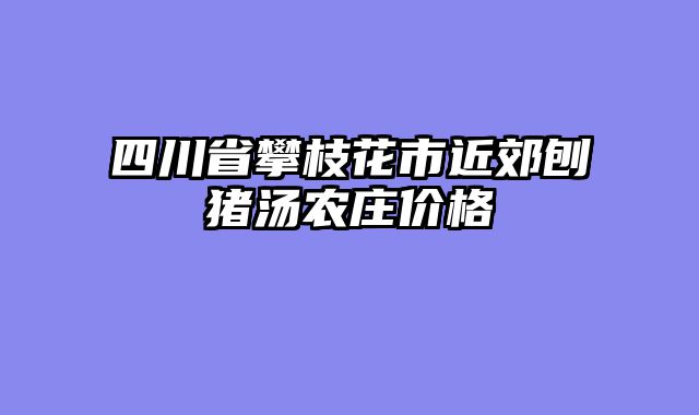 四川省攀枝花市近郊刨猪汤农庄价格