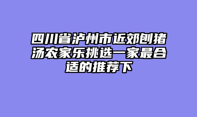 四川省泸州市近郊刨猪汤农家乐挑选一家最合适的推荐下
