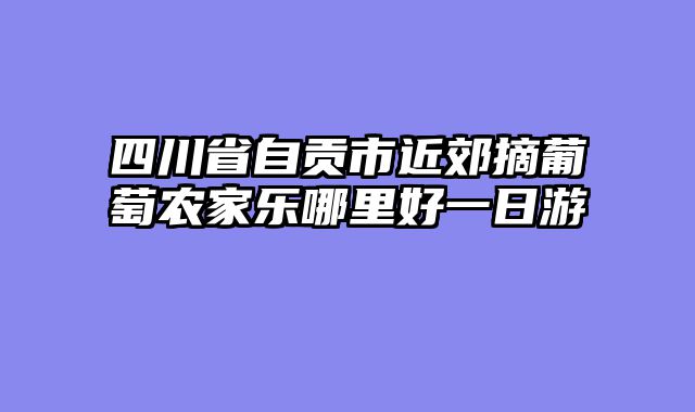 四川省自贡市近郊摘葡萄农家乐哪里好一日游