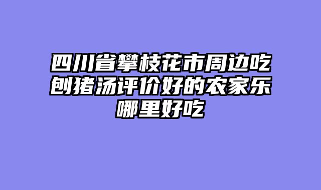 四川省攀枝花市周边吃刨猪汤评价好的农家乐哪里好吃