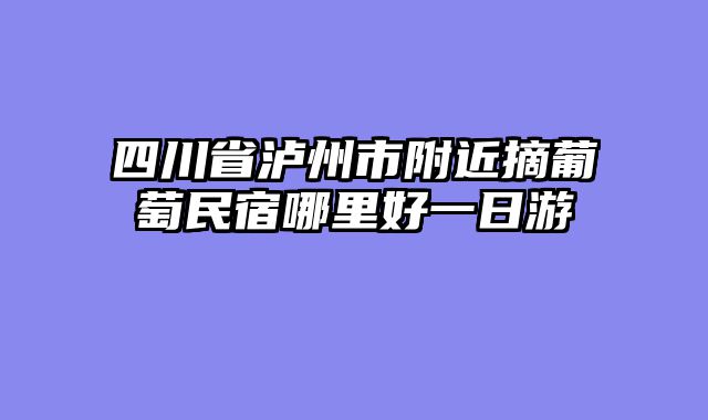 四川省泸州市附近摘葡萄民宿哪里好一日游