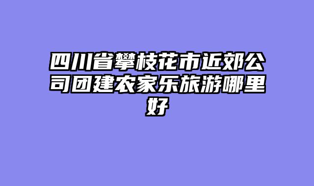 四川省攀枝花市近郊公司团建农家乐旅游哪里好