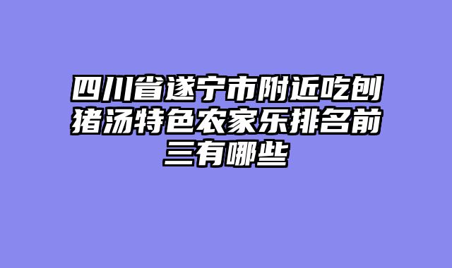 四川省遂宁市附近吃刨猪汤特色农家乐排名前三有哪些