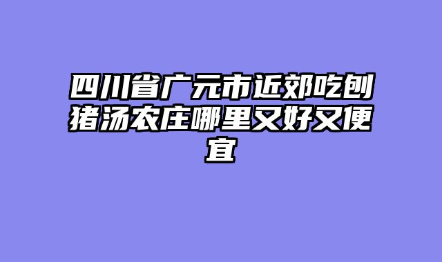 四川省广元市近郊吃刨猪汤农庄哪里又好又便宜