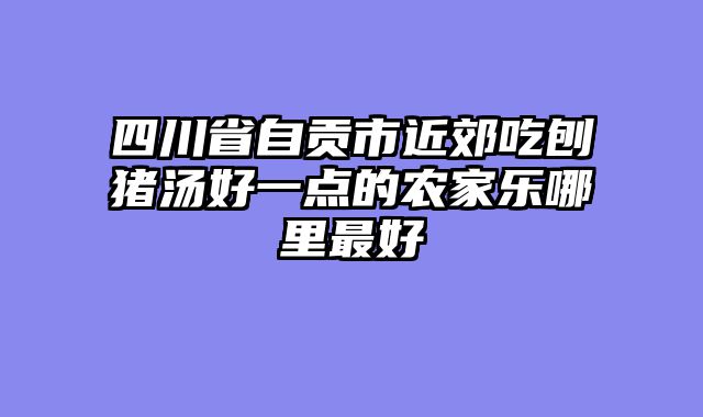 四川省自贡市近郊吃刨猪汤好一点的农家乐哪里最好