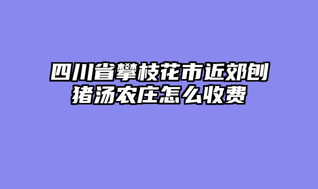 四川省攀枝花市近郊刨猪汤农庄怎么收费