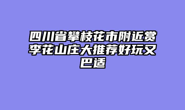 四川省攀枝花市附近赏李花山庄大推荐好玩又巴适