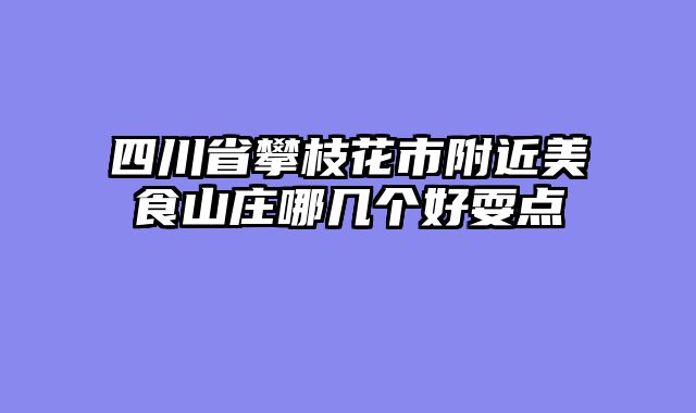 四川省攀枝花市附近美食山庄哪几个好耍点