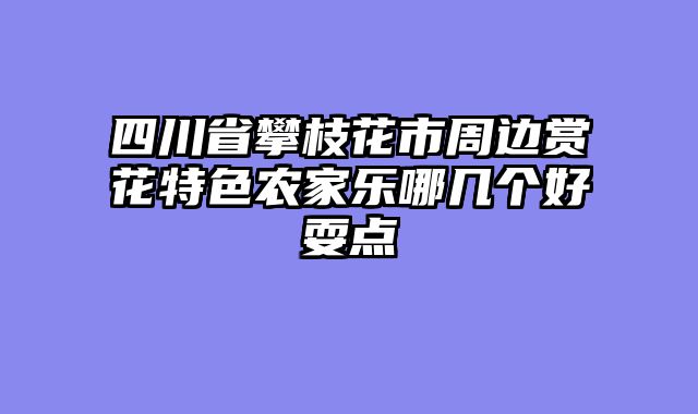 四川省攀枝花市周边赏花特色农家乐哪几个好耍点