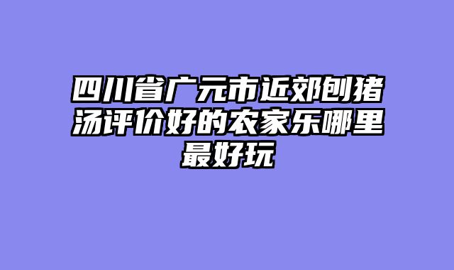 四川省广元市近郊刨猪汤评价好的农家乐哪里最好玩