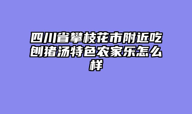 四川省攀枝花市附近吃刨猪汤特色农家乐怎么样