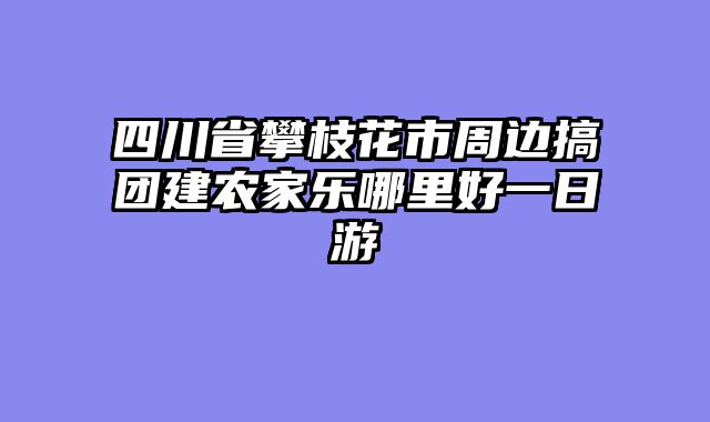四川省攀枝花市周边搞团建农家乐哪里好一日游