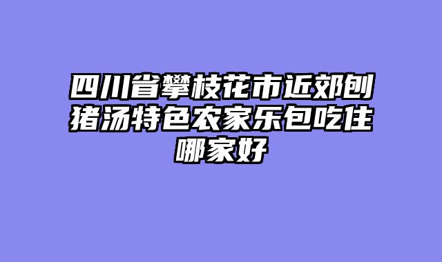 四川省攀枝花市近郊刨猪汤特色农家乐包吃住哪家好