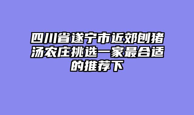 四川省遂宁市近郊刨猪汤农庄挑选一家最合适的推荐下