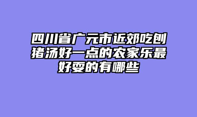 四川省广元市近郊吃刨猪汤好一点的农家乐最好耍的有哪些