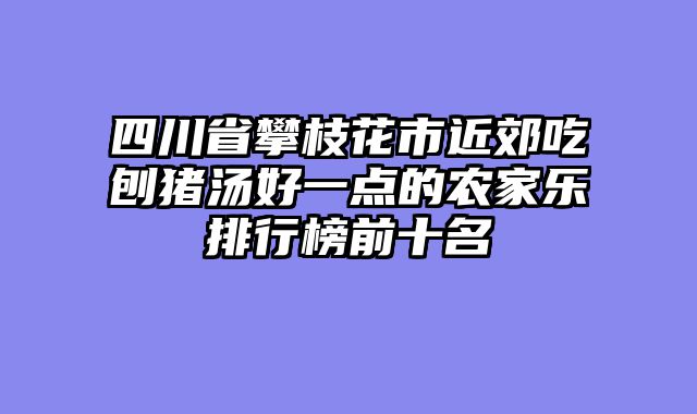 四川省攀枝花市近郊吃刨猪汤好一点的农家乐排行榜前十名