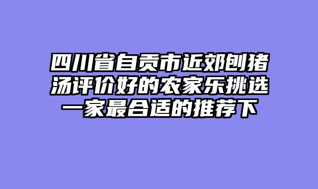 四川省自贡市近郊刨猪汤评价好的农家乐挑选一家最合适的推荐下