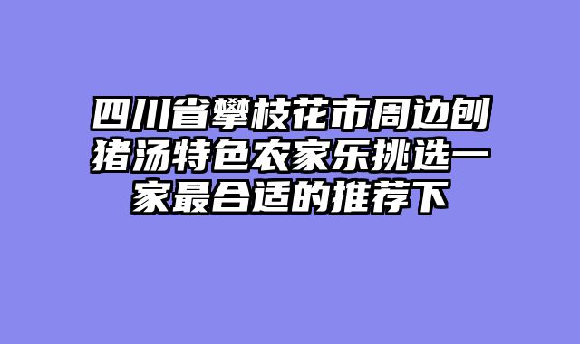 四川省攀枝花市周边刨猪汤特色农家乐挑选一家最合适的推荐下