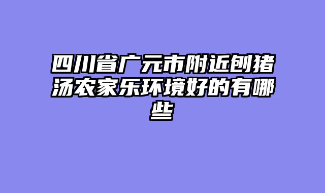 四川省广元市附近刨猪汤农家乐环境好的有哪些