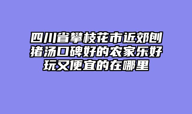 四川省攀枝花市近郊刨猪汤口碑好的农家乐好玩又便宜的在哪里