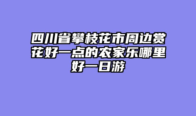 四川省攀枝花市周边赏花好一点的农家乐哪里好一日游