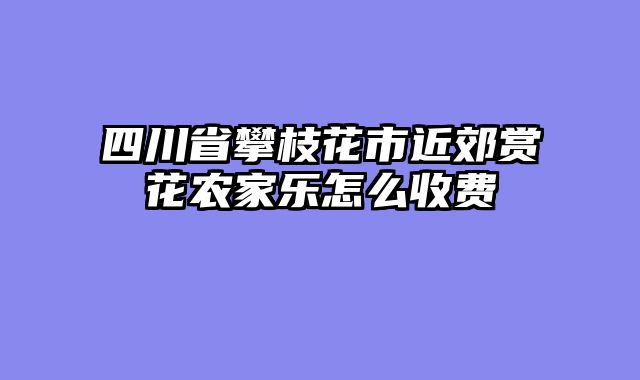 四川省攀枝花市近郊赏花农家乐怎么收费