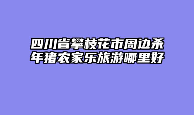 四川省攀枝花市周边杀年猪农家乐旅游哪里好