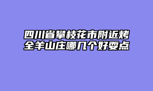 四川省攀枝花市附近烤全羊山庄哪几个好耍点