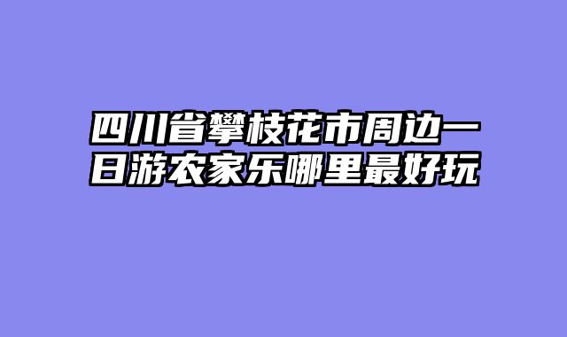 四川省攀枝花市周边一日游农家乐哪里最好玩