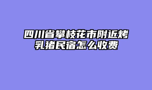 四川省攀枝花市附近烤乳猪民宿怎么收费