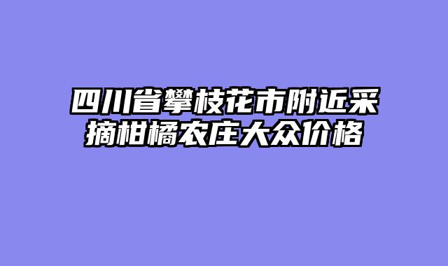 四川省攀枝花市附近采摘柑橘农庄大众价格