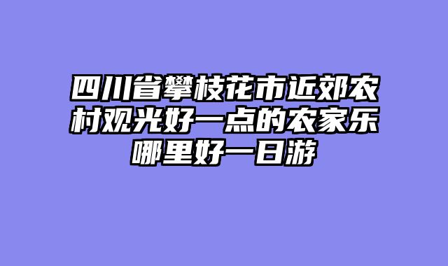 四川省攀枝花市近郊农村观光好一点的农家乐哪里好一日游