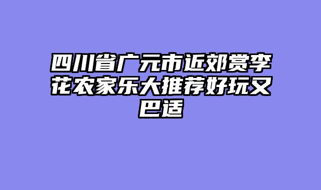 四川省广元市近郊赏李花农家乐大推荐好玩又巴适
