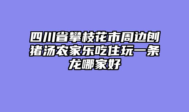 四川省攀枝花市周边刨猪汤农家乐吃住玩一条龙哪家好