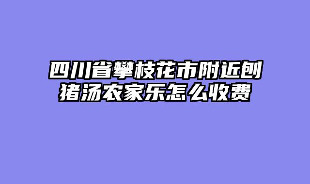 四川省攀枝花市附近刨猪汤农家乐怎么收费